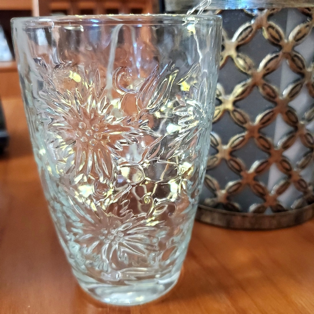 Princess House Tumbler Drinking Glass Raised Flowers